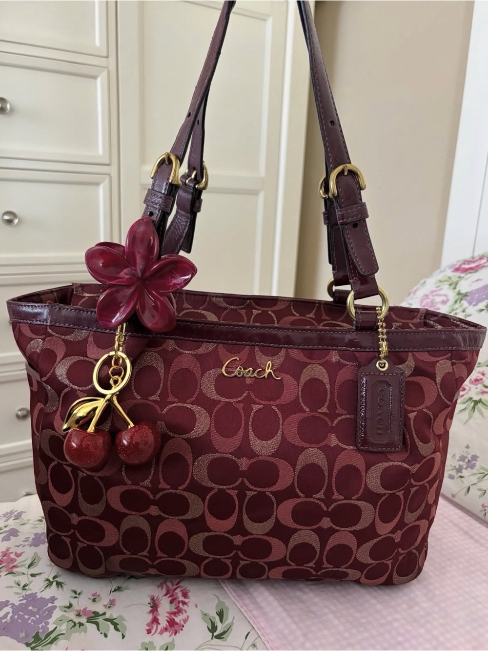 NOT SELLING LOOKING FOR A BAG (read bio please) - Picture 5 of 7